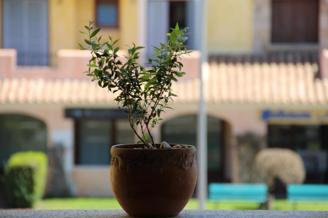 Appartamento Le Vele Porto San Paolo  Zewnętrze zdjęcie